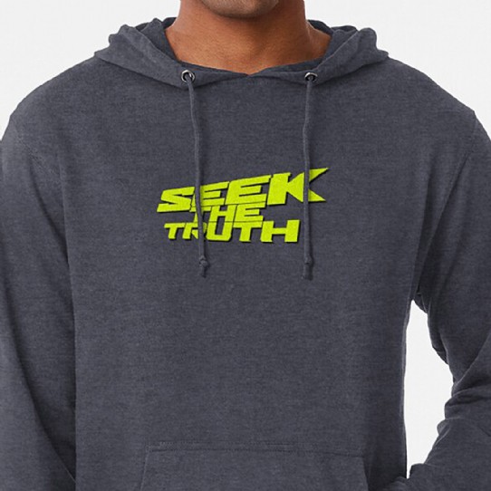 Seek The Truth!  Are you a truth Seeker? Lightweight Hoodie