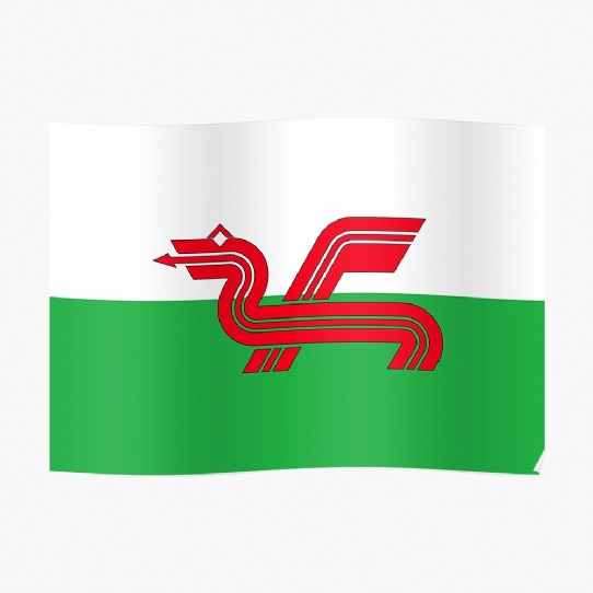 Show your Welsh Pride with a Welsh Dragon Poster