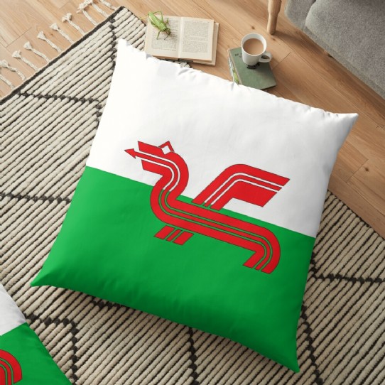 Show your Welsh Pride with a Welsh Dragon Floor Cushion