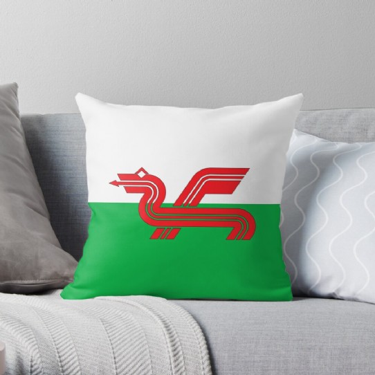 Show your Welsh Pride with a Welsh Dragon Throw Cushion