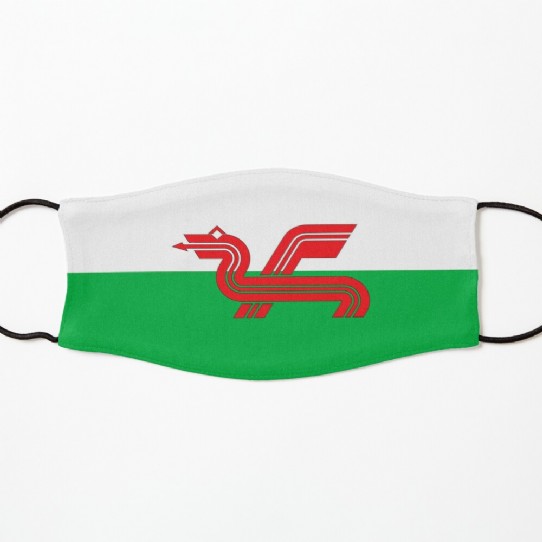 Show your Welsh Pride with a Welsh Dragon Kids Facemask